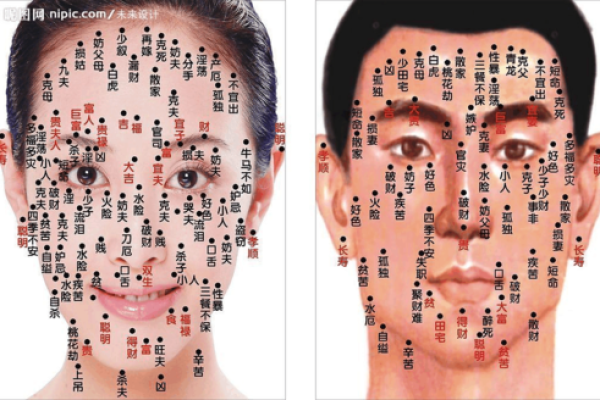 探索面部风水：从五官看你的人生运势
