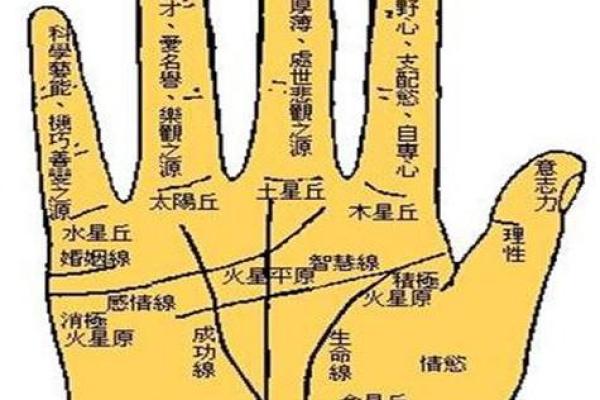 解读女生手相：掌中秘密揭示个性与命运