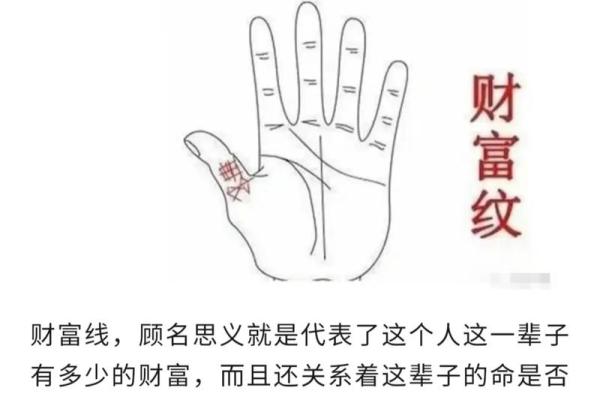 事业线手相怎么看？从掌纹分析你的职场运势