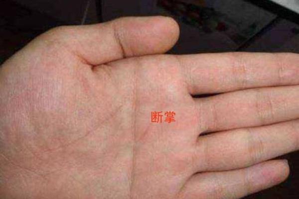 手相财运解析：从掌纹看你未来的财富运势