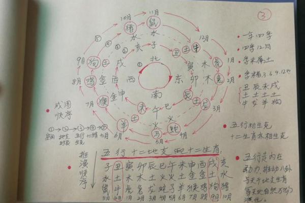 天干地支组合的奥秘与应用探索