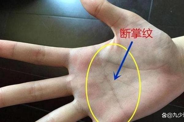 解密川子纹面相对个人命运的影响