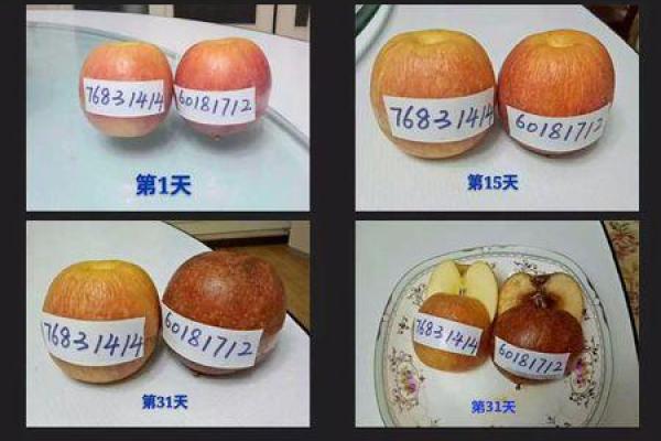 如何利用风水数字改善运势和生活质量
