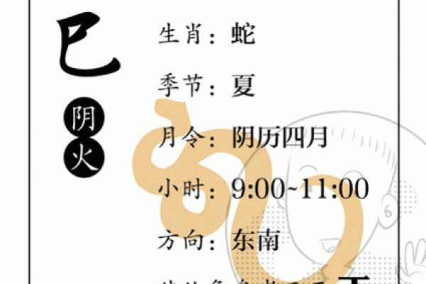 探秘命理学：如何通过命理提升生活质量