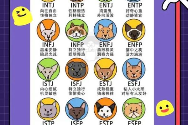 适合不同性格猫咪的名字推荐