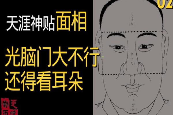 如何解读眼白多眼黑少的面相特征