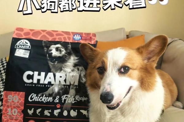 打造与狗狗个性相符的名字，展现特别魅力