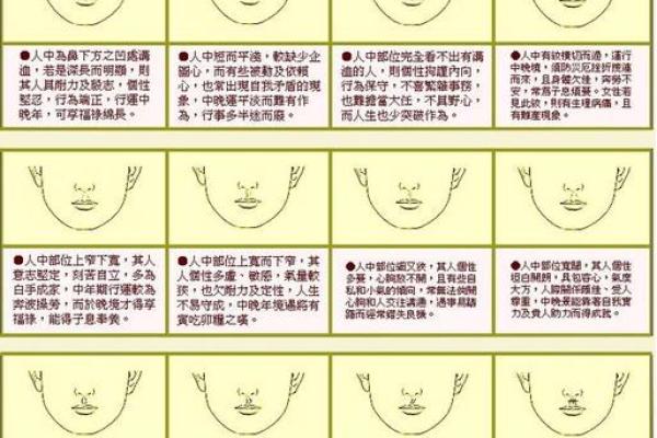 女人面相解析：通过面部特征解读性格与命运走势