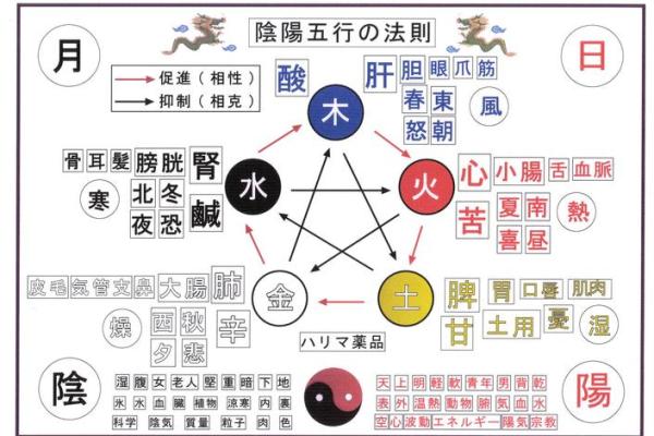 五行理论的基本概念与应用解析