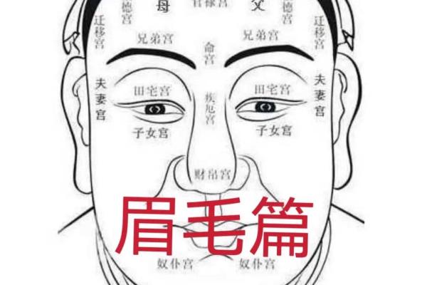 眉毛在面相学中的深层含义与命运解析