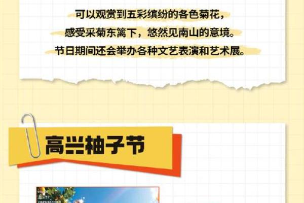 探索的节日魅力与庆祝活动