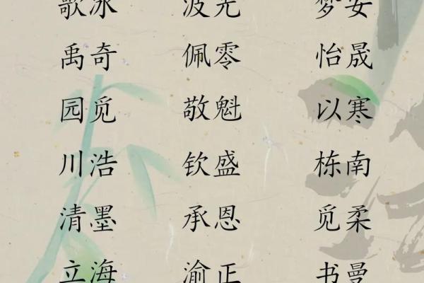 如何通过专业打分系统为宝宝起个完美名字