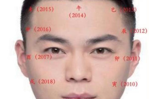 面相与权力：从面部看是否有官位命