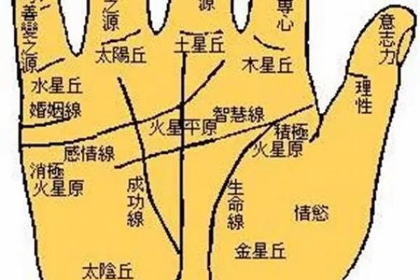 男人手相图解：从掌纹看出你的命运走向