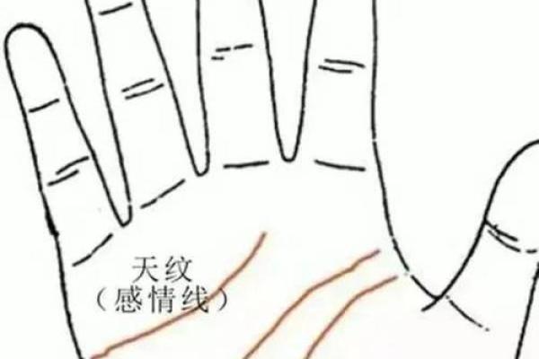 男人手相图解：从掌纹看出你的命运走向