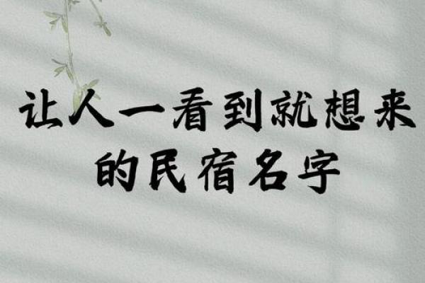 免费名字打分测试：为你选出最佳名字的秘诀