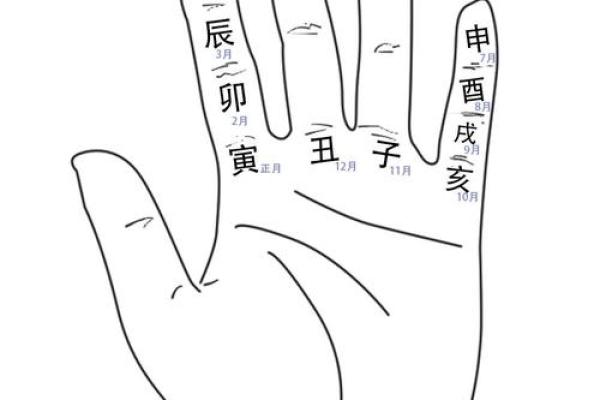 天干地支记忆法技巧大揭秘