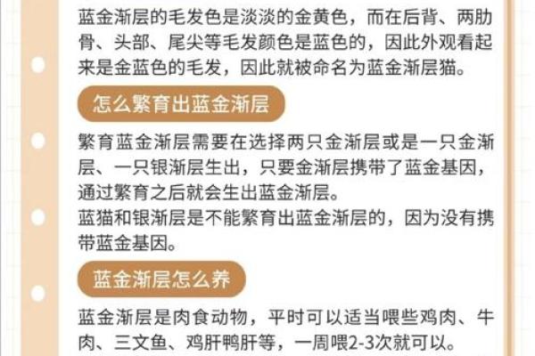从猫咪的品种到性格，为猫取个完美名字