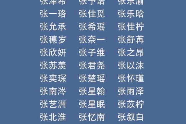 张姓男宝宝取名宝典：独特又有意义的名字推荐