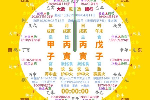 五行与地支的关系解析：如何通过八字了解命运走向