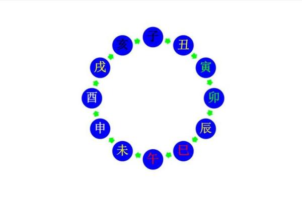 五行与地支的关系解析：如何通过八字了解命运走向