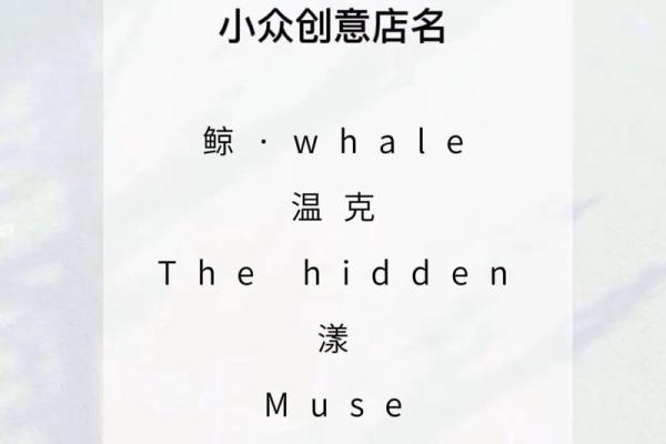 个体公司起名全攻略 从创意到品牌定位