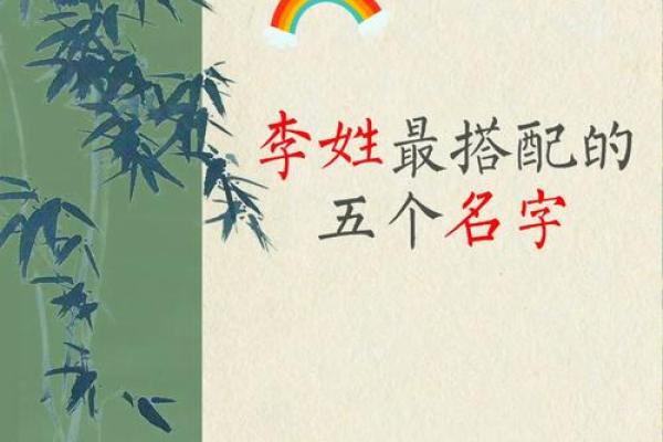 李姓男孩起名指南：挑选有寓意的名字方案