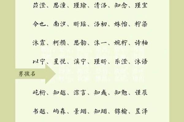 寓意深远的属鸡宝宝名字推荐