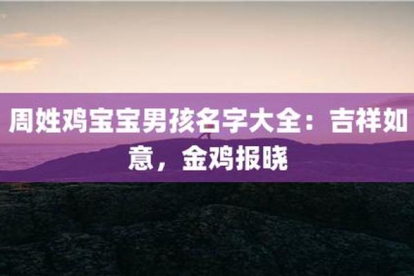 鸡宝宝名字大全：创意与寓意并重