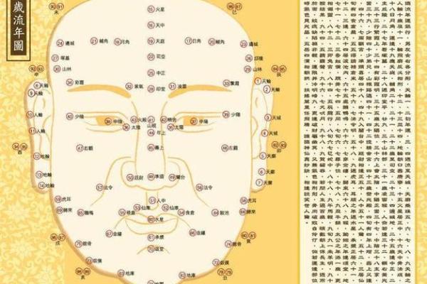 精准免费面相分析，快速了解人生运势