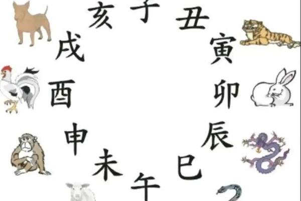 天干地支与十二生肖如何影响命运