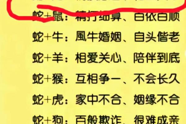 生辰八字属相婚配如何影响婚姻幸福