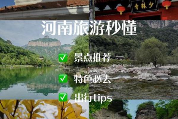 历史与文化交织的河南之旅