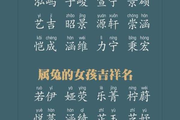 在线命名：为宝宝选择一个完美名字的全攻略