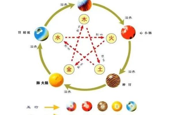 天干地支与五行相生相克的奥秘解析