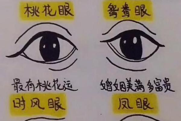 眼间距宽的面相解析与影响分析