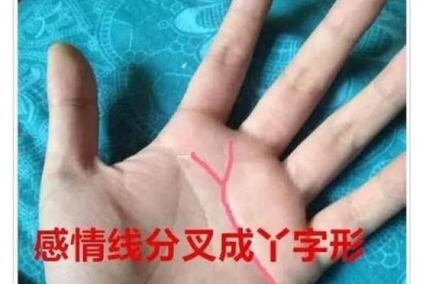 手相学中男人应该重点看左手还是右手