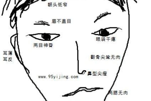 面相解密：如何通过五官看透命运的轨迹