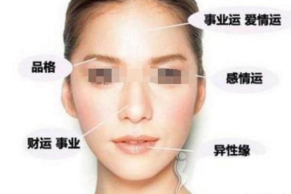 想知道未来吗？试试免费的面相测试