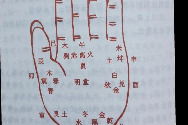 左手右手都能看手相吗？手相学中的深层含义
