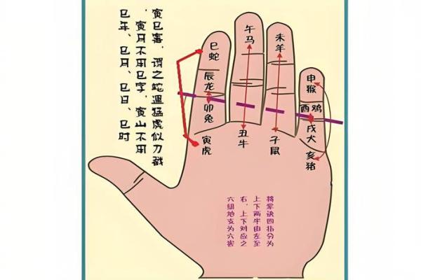生辰八字命理与取名的深层关系