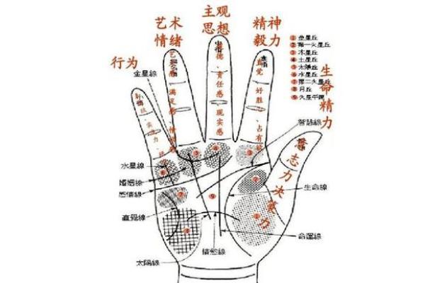 掌握手相学：简单步骤看清你的未来