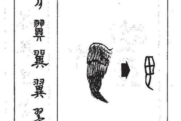 如何为鸡宝宝选择一个既有寓意又好听的名字
