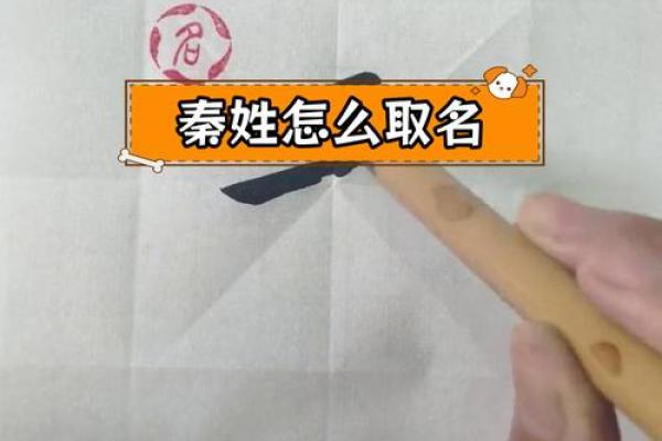 给秦姓鸡宝宝起名字的最佳方法与技巧