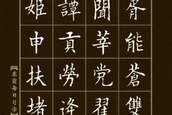 胥姓宝宝起名宝典：如何选择最适合的名字