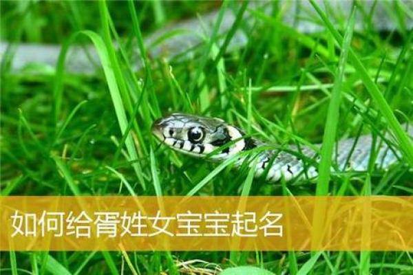 胥姓宝宝起名宝典：如何选择最适合的名字