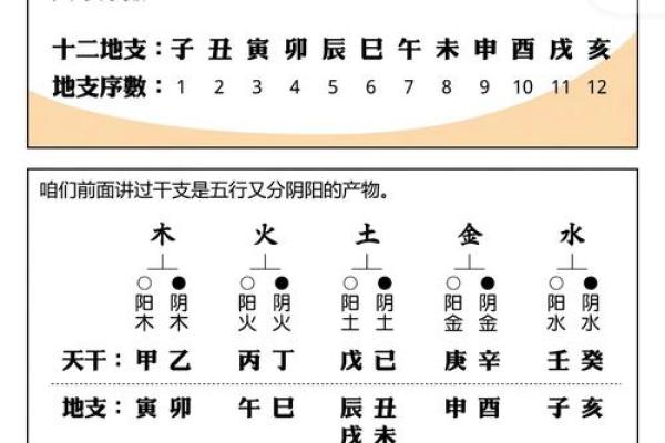 天干克地支在命理中的重要性与影响