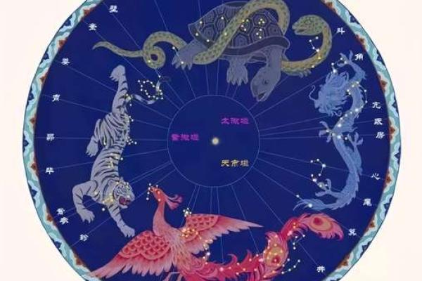 天干地支各自的特点与使用场景对比