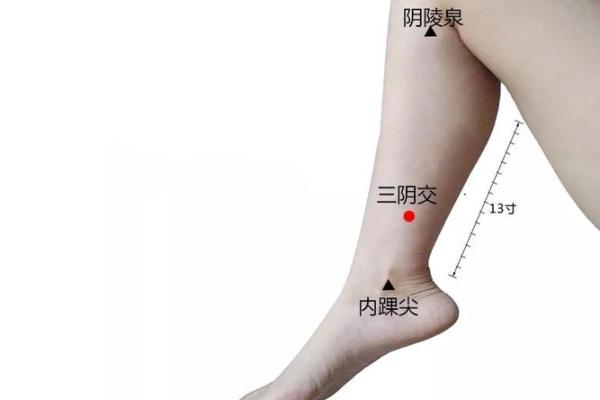 腿部痣相学：从小腿到大腿的命运解读