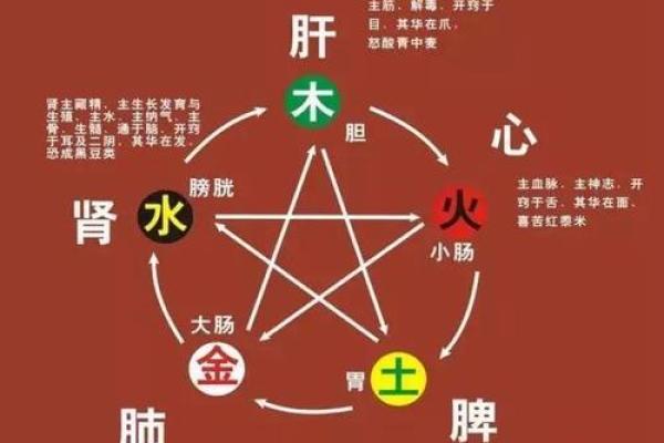 如何通过命理趋向财富与荣华